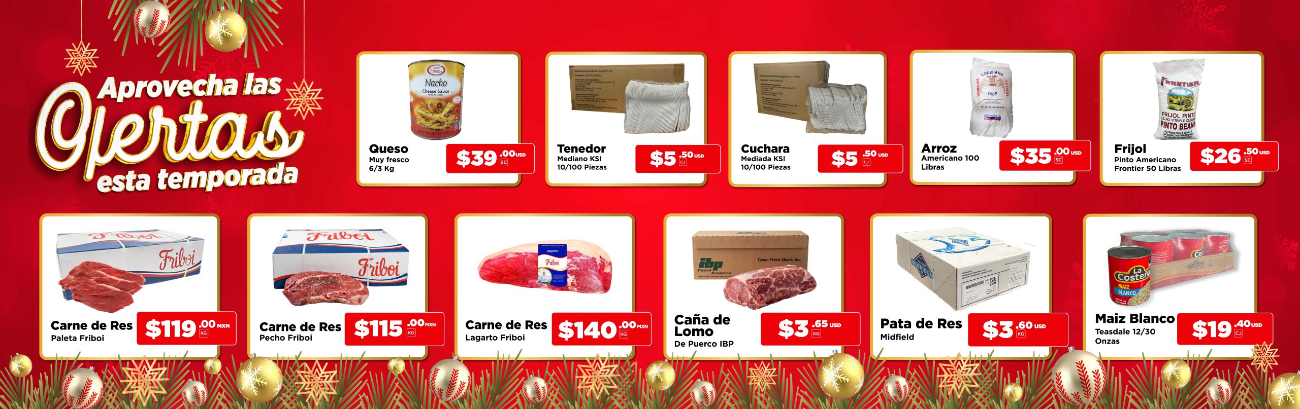 DICIEMBRE_BANNER WEB CCFN